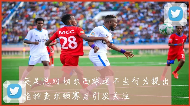 英足总对切尔西球迷不当行为提出指控查尔顿赛后引发关注
